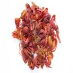 Javitri Spices Whole | Premium Japatri - Whole Spices | Mace Indian Spice - Image 3