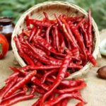 {Without Stem} Premium RAVA Organic RED Dry Chillies (Whole) | Sabut Lal Mirch